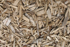 biomass boilers White Lackington
